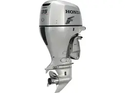 bf135_large.webp