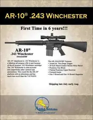 tmp_dropzone_armalite_ar_10_in_243_winchester_limited_runb-tfb.webp