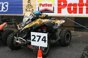 274.webp
