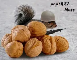 pcp427.webp