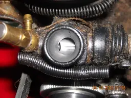 DSCN2554.webp