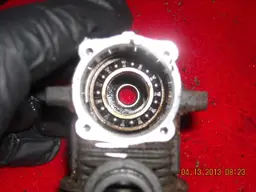 DSCN2609.webp