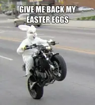 evil-easter-bunny-is-evil_o_1046705_kindlephoto-295750709.webp