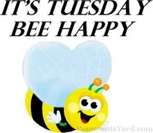 tuesday.webp