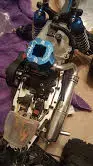 rex2.webp