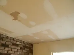DSCN2663.webp