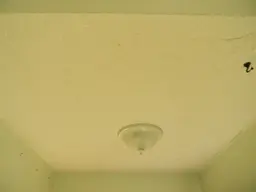 DSCN2667.webp