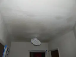 DSCN2673.webp