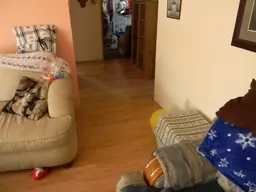 DSCN2764.webp