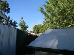 DSCN2816.webp