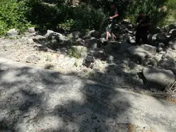 DSCN2828.webp