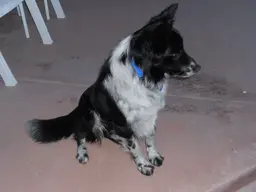 DSCN0013.webp
