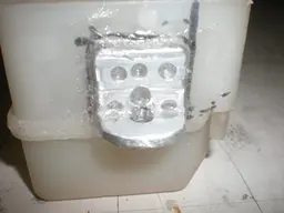DSCN6371.webp