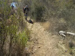 DSCN2956.webp