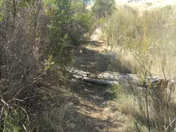 DSCN2964.webp