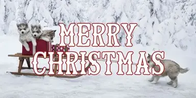 C76235AE-AB32-4A26-87ED-F106500D3A66.webp