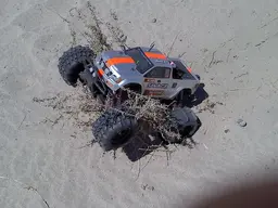 SAVAGE GETTING SOME BUSH.webp