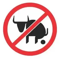 NO Bullshit.webp