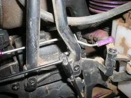 DSCN6936.webp