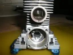 DSCN5611.webp