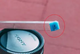 DSC08531.jpg DSC08531.jpg