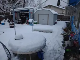 Snow 2023-1.webp