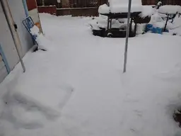 Snow 2023-2.webp