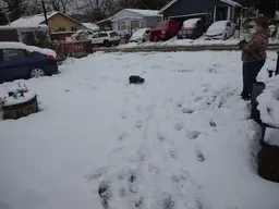 TRX 4 snow running 2.webp