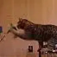 uhearme