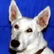 Bud