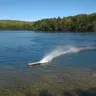icefish