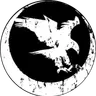 Nighthawk