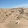 dunerdog94