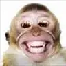 Armageddonmonkey