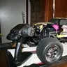 roger25118