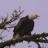 Jim