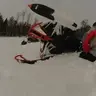 AnimalThreeSeven