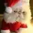 MrSnuggles