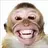 Armageddonmonkey