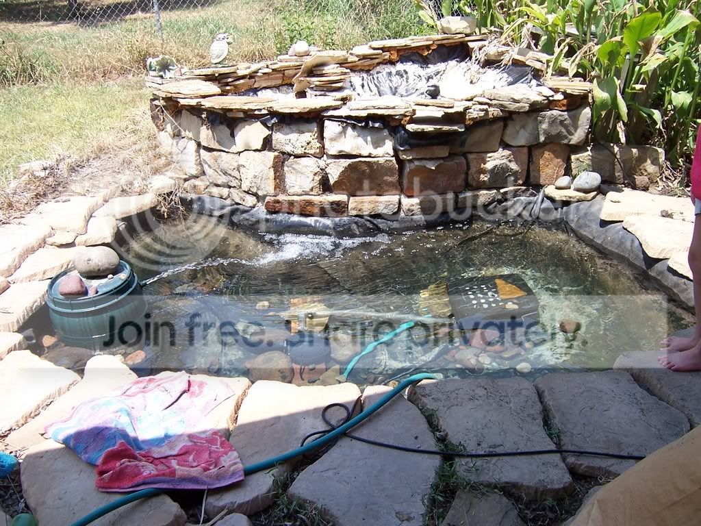 100_2740.jpg