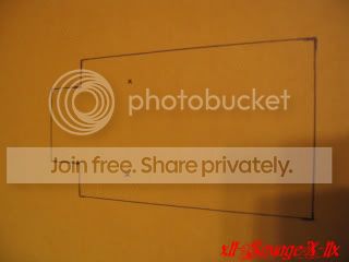 IMG_0694.jpg