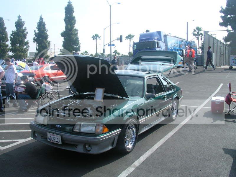 dscn5176.jpg