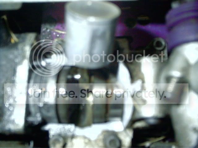 IMAG0008.jpg