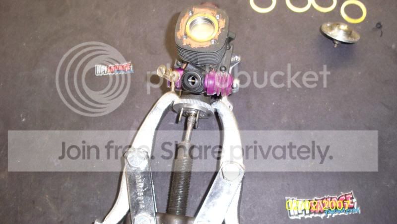 fredsHPIF46010.jpg