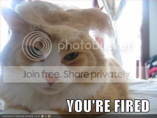 yourefired.jpg