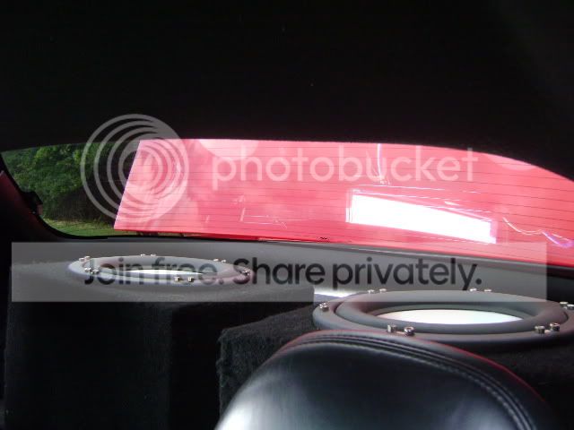 DSC03541.jpg