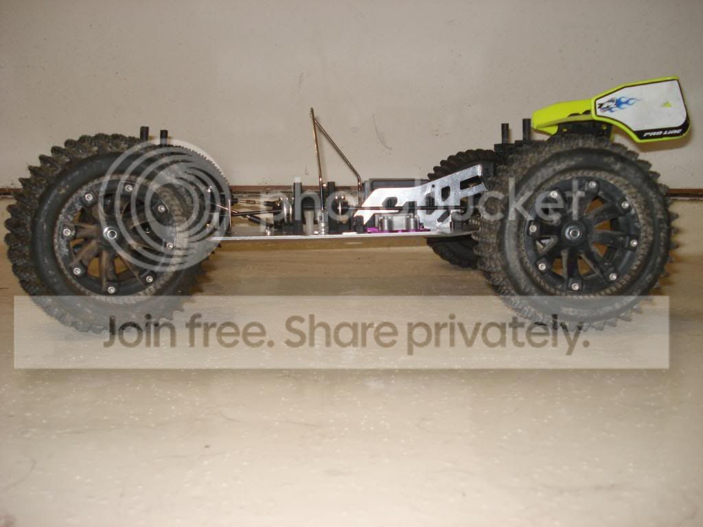 lsptruggypics003.jpg