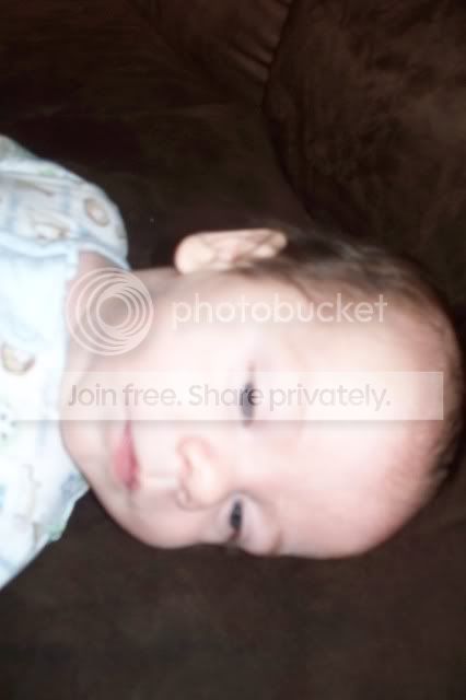 Picture044.jpg