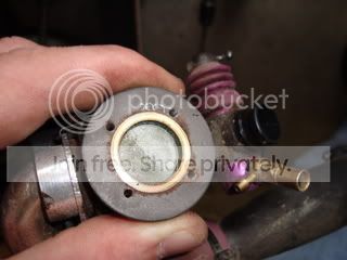 DSC00224.jpg