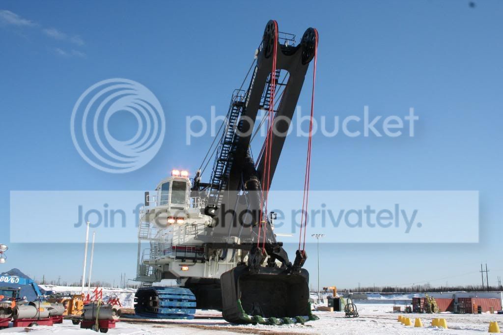 495004.jpg